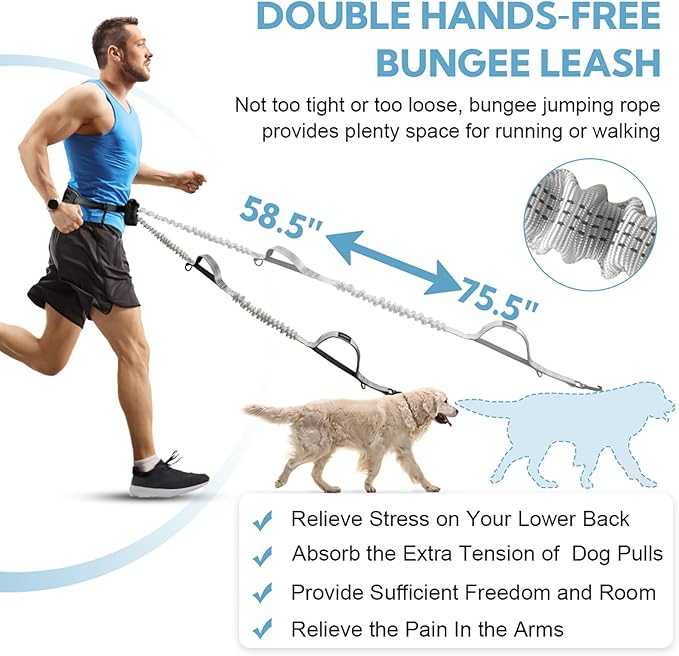 Hands Free Dog Leash with Pouch, Retractable Bungee with Double Padded Handles, Dog Leashes with Bungee for Medium & Large Puppy