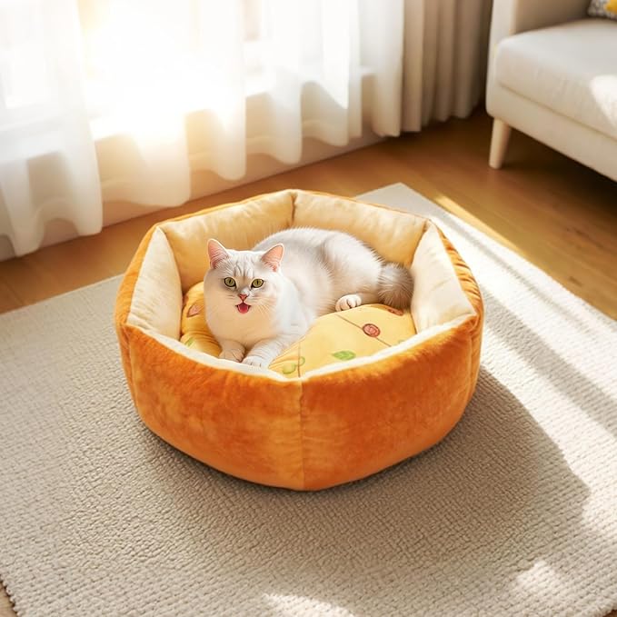 Cute Cat Beds Kitten Beds with Catnip Toys, Soft Small Dog Beds, Washable Pet Beds for Puppy and Kitty, Funny Pizza Shape, 20 Inch