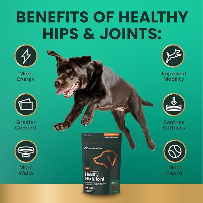 VetriScience Ultimate Strength Healthy Hip & Joint Chews, GlycoFlex Glucosamine, Chondroitin and Green-Lipped Mussel Joint Support Supplement for Dogs, Soothe Discomfort, Peanut Butter, 60 Chews