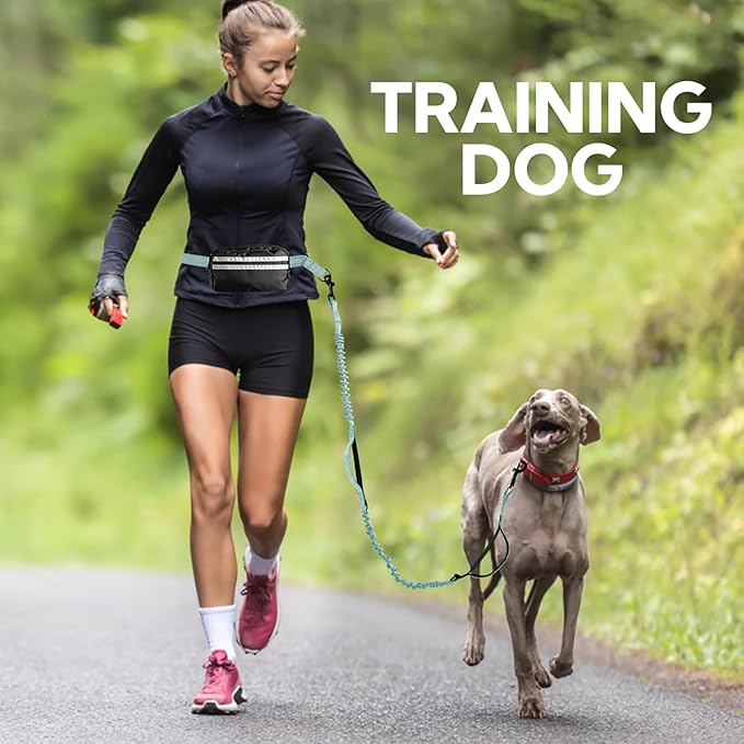 Hands Free Dog Leash with Pouch,Double Leash for Two Dogs