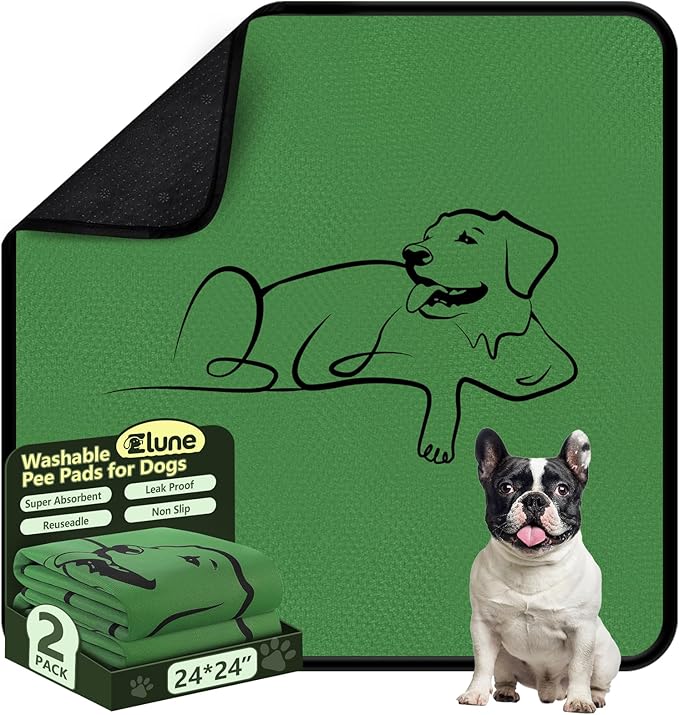 2 Pack Washable Pee Pads for Dogs 24"x24", Reusable Training Puppypads Absorbency Non-Slip & Leak-Proof for Pet Whelping Box Playpen Crate Sofa Bed Floors (Green)