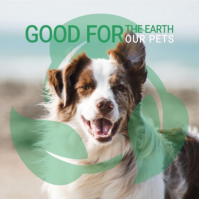 Green Groom Dandruff Dog Shampoo, 1 Gallon - All Natural Ingredients, Eliminates Dandruff and Reduces Flaking, Moisturizes The Skin and Coat, Provides Dry Skin Relief