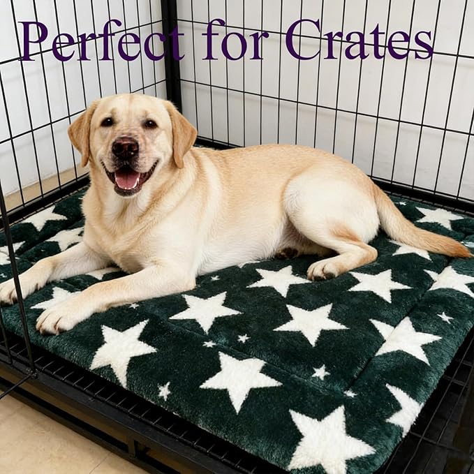 Fogkiss Dog Bed Mat, Reversible Crate Pad & Durable Dog Bed - Machine Washable Kennel Mat with Ultra Soft for Large Dogs (Big&Small Stars Green, 35" L*23" W*1.5" Th)