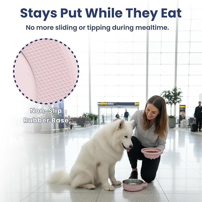 PawsPik 2-in-1 Travel Dog & Cat Bowl – Collapsible BPA-Free Silicone & 18/8 Stainless Steel, Portable & Non-Slip with Handle, Easy to Clean, Food & Water Bowl for On-The-Go Pets (Cherry Blossom Pink)