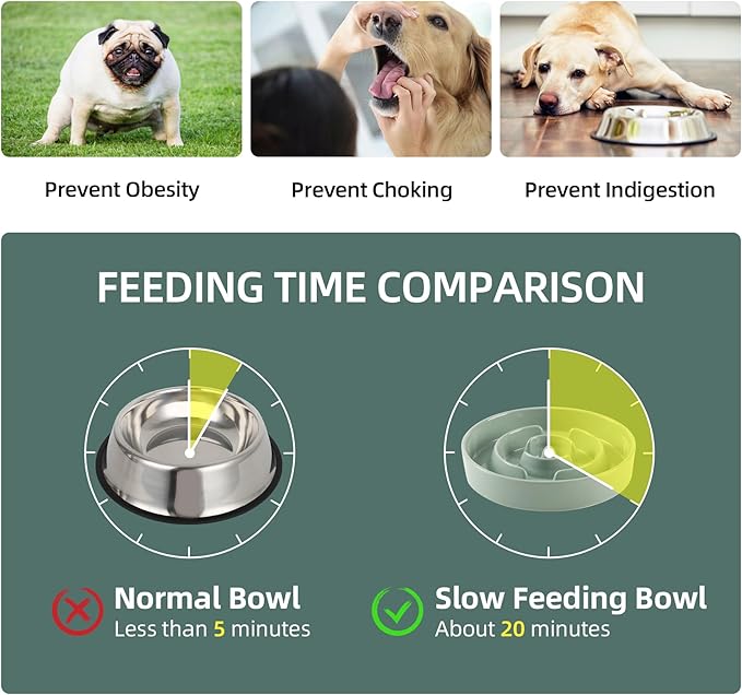 Ceramic 1.2 Cup Raised Slow Feeder Dog Bowl Set, Elevated 6.1inch Bowl and 7.3inch Puzzle Slow Food Dish with Wooden Stand for Medium and Small Dog, Anti-Gulping (2 x Light Green+ Stand)