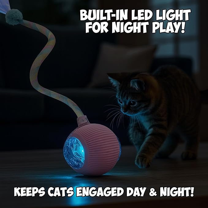 Lila Layers 2-Pack Interactive Cat Ball Toys – Pink & Blue Combo – Automatic Rolling Balls with Long Tail & Feather, 3-Modes & USB Rechargeable for Indoor Cats