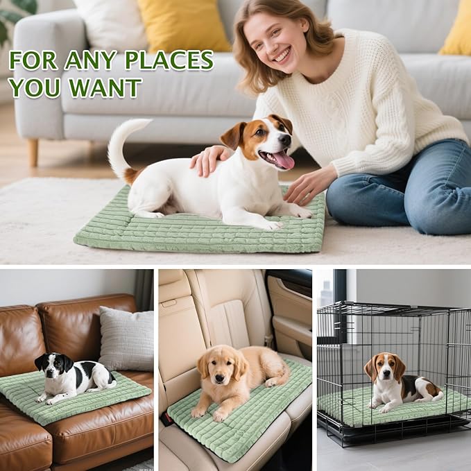 BVAGSS Dog Bed Washable Crate Mattress,Anti-Slip Memory Foam Soft Warm Pet Cushion for Small Medium Dogs, Calming Fluffy Sleeping Kennel Pad XH082 (30''x20'',Green)