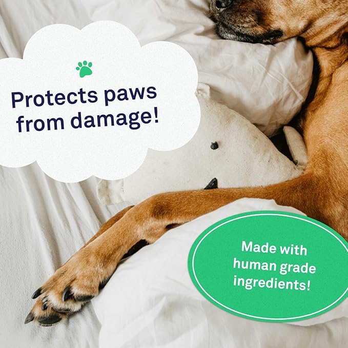 Petpost | Paw Protection for Dogs - Organic Sunflower Oil and Beeswax Balm for Hot Pavement - Wax Coats Dog Feet to Prevent Burns from Heat & Cold 0.64 oz.