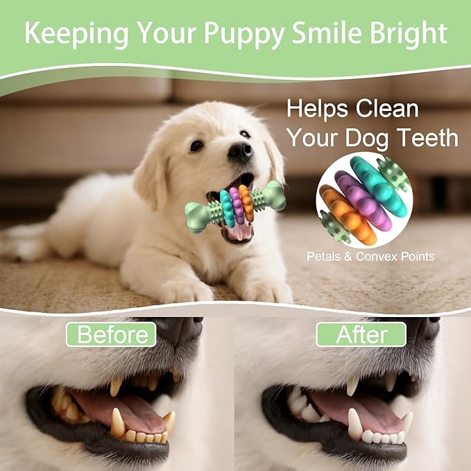 Puppy Teething Toy, Indestructible Dog Chew Toys for Aggressive Chewers, Interactive Bone Dog Toy for Small & Medium Breeds, Tough Puppy Toys to Keep Them Busy and Clean Teeth