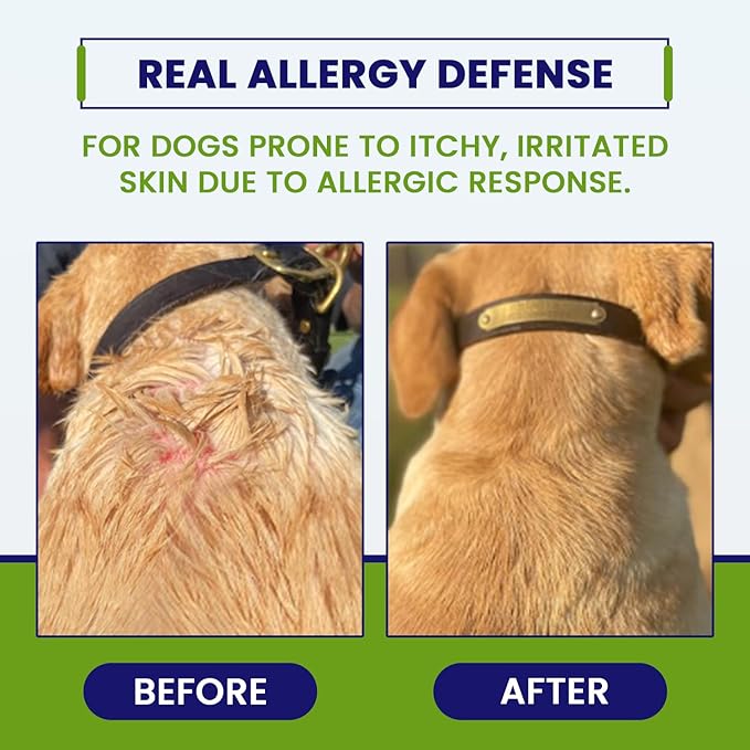 Allergy CZN - Itch and Allergy Chew for Dogs, Seasonal Allergies Anti Itch Dog Chewables with ImmunoRise Blend, 3 oz/120 Count