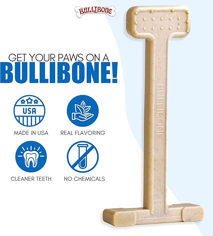 Bullibone Nylon Dog Chew Toy Nylon Bone - Improves Dental Hygiene, Easy to Grip Bottom, and Permeated with Flavor (Large - 3 Pack, Chicken)
