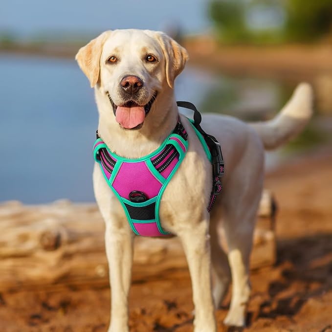 rabbitgoo Dog Harness No Pull with 2 Leash Clips, Adjustable Soft Padded, Reflective Oxford No Choke Pet Vest with Easy Control Handle for Large Dogs, Hot Pink & Turquoise, XL