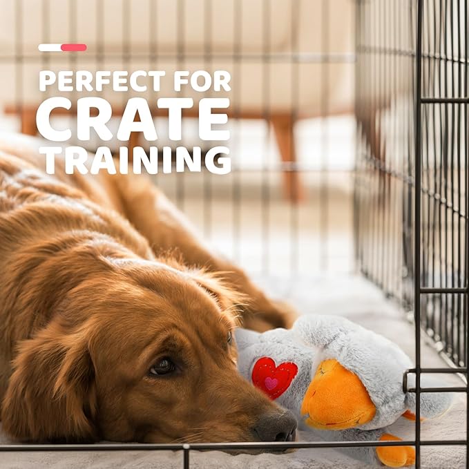 ALL FOR PAWS Heart Beat Dog Toy, Puppy Sleeping Buddy Cuddle Toy Dog Soothing Plush Toy, Crate Training Puppy Stuffed Animal Gift Toys for Your Furry Friend