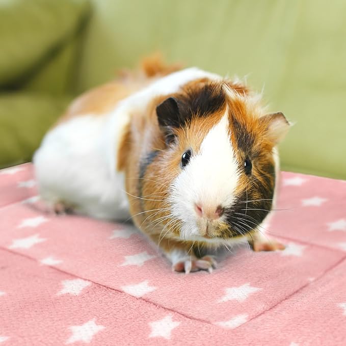 Tierecare 5PCS Guinea Pig Bed Soft Rabbit Bedding Cage Liner Warm Bunny Mats Pee Pads Fleece Blanket Plush Hamster Sleep Beds Ferret Squirrel Hedgehog Rat
