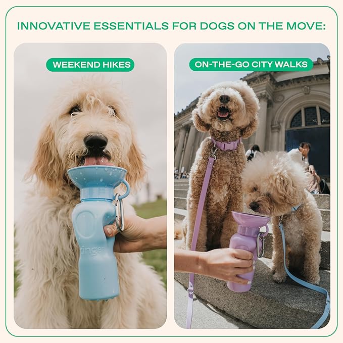 Springer by Springland Dog Water Bottle | Portable Travel Water Bottle Dispenser for Dogs | Dog Gift Seen on Oprah's Favorite Things, Shark Tank | Leak-Proof Bottles | BPA-Free 22oz Sky Blue