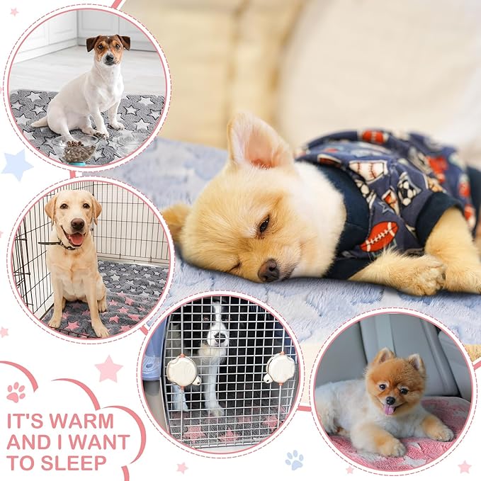 Reginary 4 Pcs Waterproof Guinea Pig Blankets Washable Small Animal Fleece Bedding Guinea Pig Cage Liners Reusable Training Pads Pet Pee Pad Sleep Mat for Hamster(Cute Star Pattern,24 x 47 Inch)