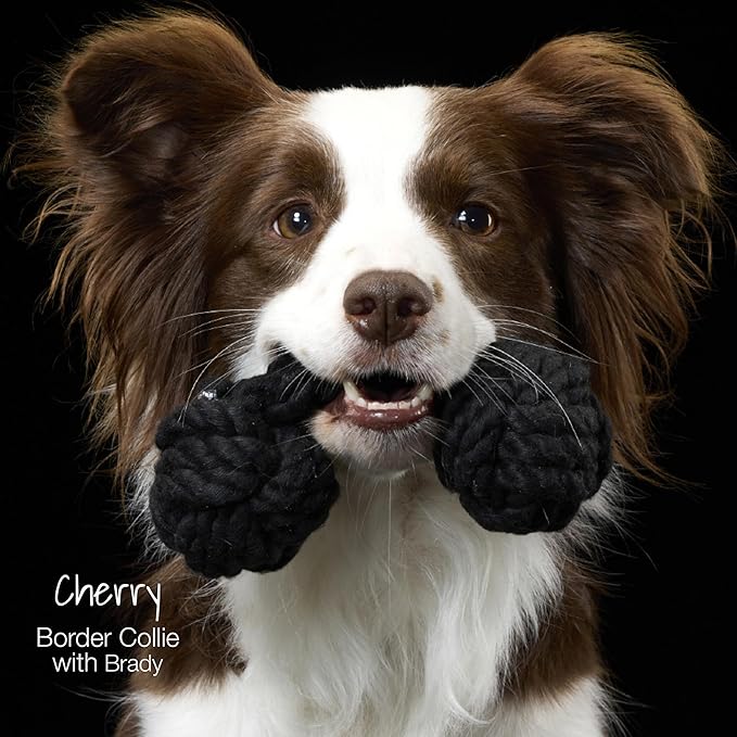 Pet Passion Brady The Rope Tug Toy 3-Pack Organic Cotton Dog Rope Pull Toys for All Pet Breeds, Navy Ombre, One Size