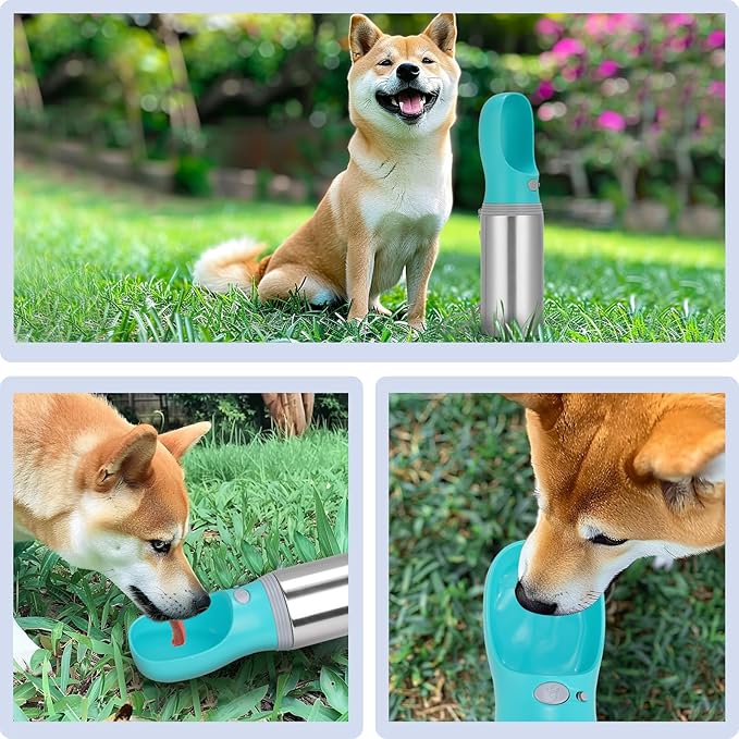 Portable Dog Water Bottle, 14 OZ, Stainless Steel Leak Proof Puppy Water Dispenser with Drinking Feeder for Pets Travel, Walking, Hiking and Outdoor Activities