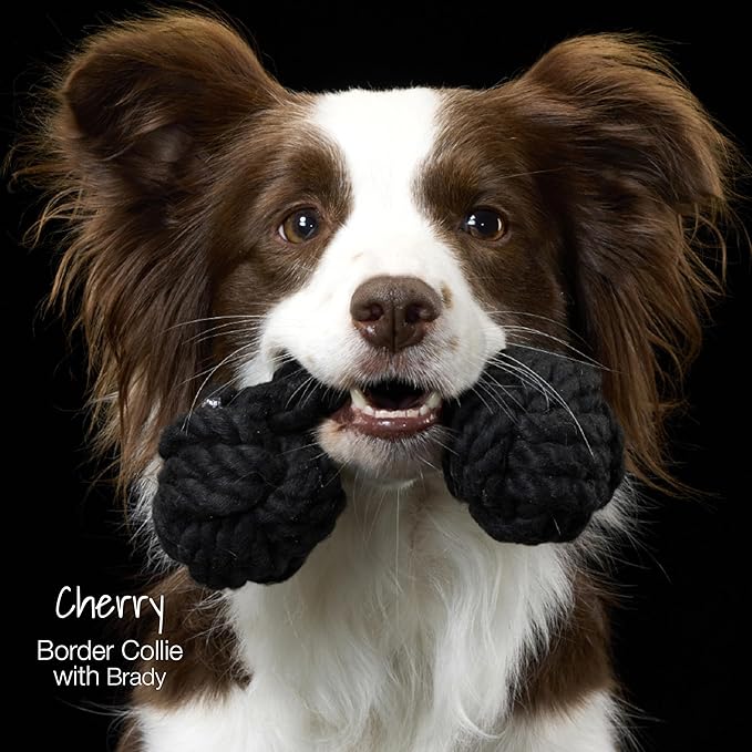 Pet Passion Brady The Rope Tug Toy 3-Pack Organic Cotton Dog Rope Pull Toys for All Pet Breeds, Pink Salt, One Size
