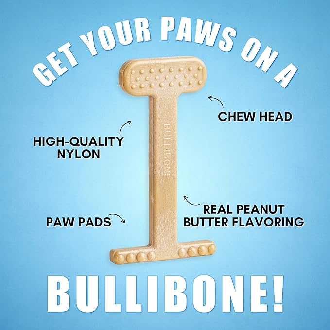 Bullibone Nylon Dog Chew Toy Nylon Bone - Improves Dental Hygiene, Easy to Grip Bottom, and Permeated with Flavor (Peanut Butter, Small - 3 Pack)