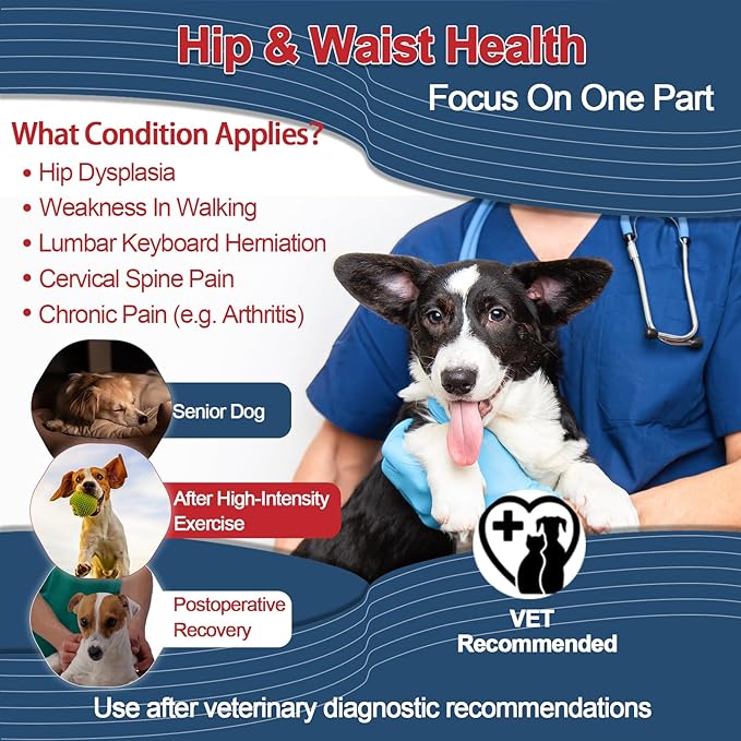 Heated Dog Hip Wrap Comes with Power Bank Thermal Comfort Pad Wearable for Dog with Hip Dysplasia, Arthritis, Lower Back Pain, Weakness (Medium)