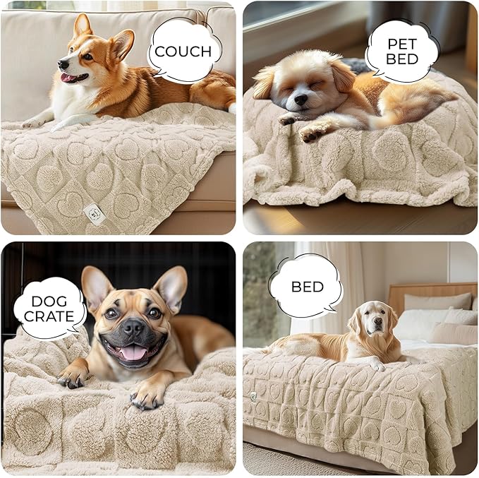 Luciphia 1 Pack 2 Small Dog Blanket Washable Pet Bed Cover Soft Fluffy Puppy Blanket with Premium Fleece 300GSM Cozy Calming Cat Blankets for Indoor Cats Beige 57x40 inch