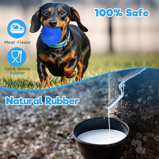 petizer 4" Squeaky Dog Balls for Aggressive Chewers, Durable Interactive Spiky Ball for Teething, Indestructible Rubber Dog Chew Toys, Tough Pet Toys for Small, Medium & Large Breeds