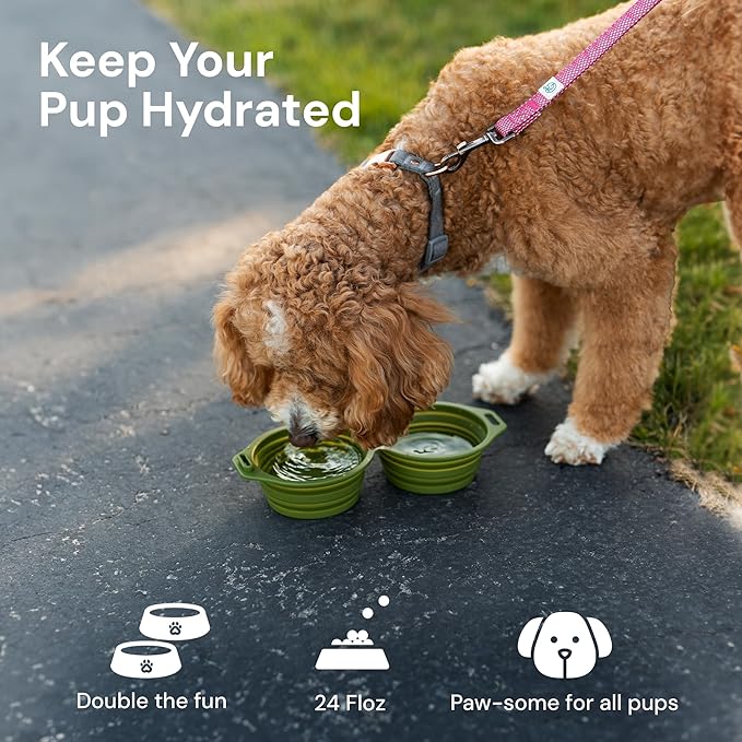 Pup Culture Dual Collapsible Dog Bowls | Silicone Travel Water Bowl for Dogs | Food Grade, No Plastic Rim, Portable Dog Bowl for Food and Water - Easy to Clean | BPA Free and Safe for Your Pup-Green