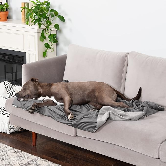 Furhaven Waterproof Throw Blanket for Dogs & Indoor Cats, Washable - Two-Tone Luxe Velvet Dog Blanket - Granite Gray, Large