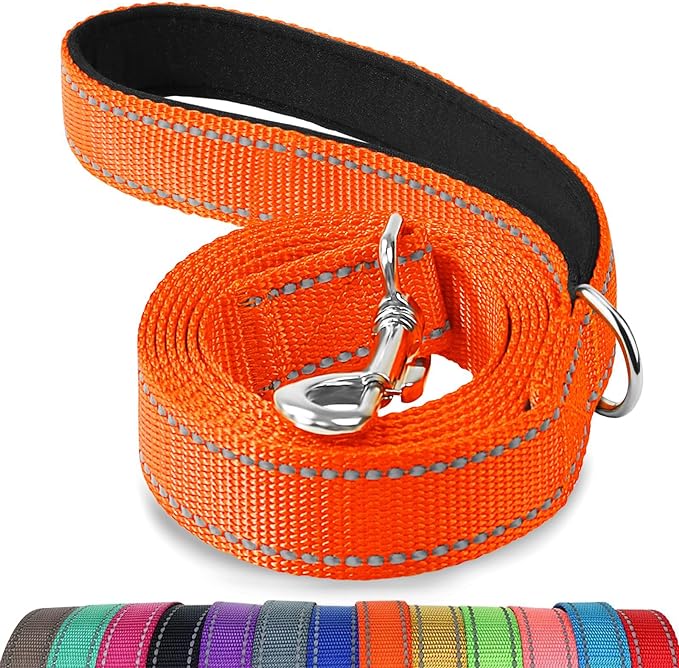 Joytale Dog Leash, 5 FT Double-Sided Reflective, Padded Handle Nylon Heavy Duty Leashes for Small Dogs Walking, Orange