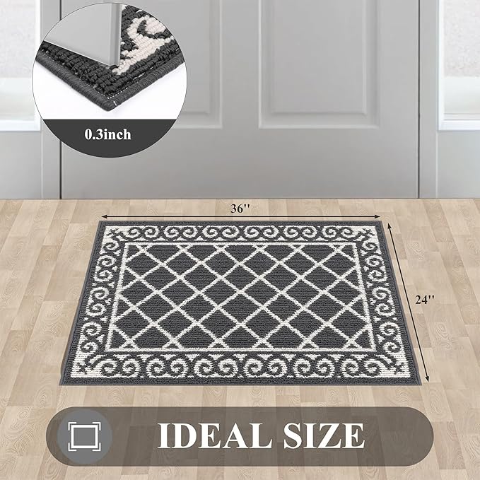 HEBE Indoor Door Mat 24''x36'' Non Slip Front Door Welcome Mats Washable Shoe Mats Dirt Trapper for Entryway Low Profile Kitchen Carpet for Entrance Hallways Entrance Mat for Dogs