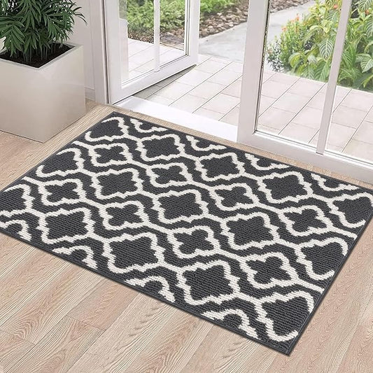 HEBE Indoor Door Mat 24''x36'' Non Slip Front Door Welcome Mats Washable Shoe Mats Dirt Trapper for Entryway Low Profile Kitchen Carpet for Entrance Hallways Entrance Mat for Dogs