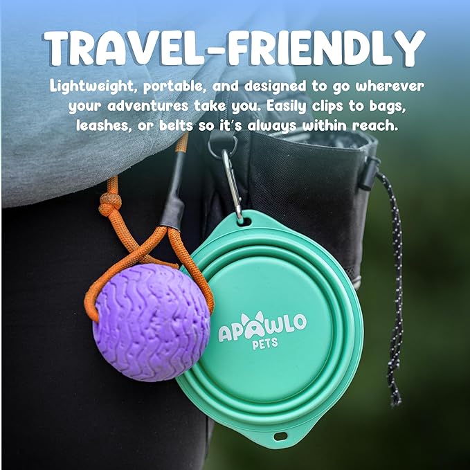 Collapsible Dog Bowl - 800ml/27 oz Portable Silicone Travel Water Bowl for Dogs with Carabiner | Foldable, Dishwasher Safe | Hiking, Camping Dog Essentials & Outdoor Pet Feeding - Green