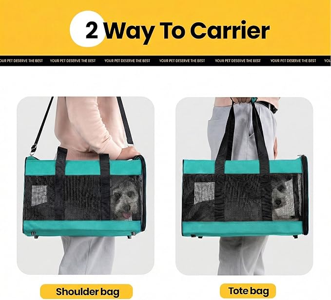 Conlun Cat Carrier Airline Approved, Soft-Sided Dog Carrier with Inner Safety Leash, Pet Transport Carrier for Small-Medium Cats Puppies up to 15 Lbs,Travel Kitten Carrier Bag -Turquoise,M