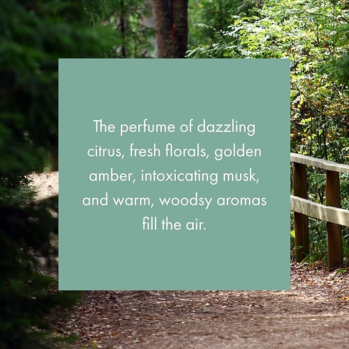 ScentAir Whisper Home Monthly Plug-in Refill, Fragrance Cartridge for Home and Office, A Walk in the Woods