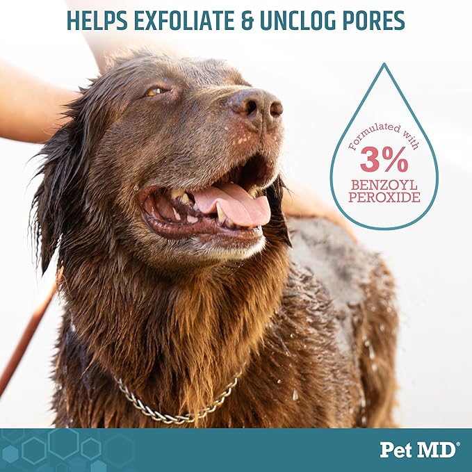 Pet MD Benzoyl Peroxide Shampoo for Dogs & Cats - Helps Remove Dead Skin, Unclog Pores, and Manage Mange - Seborrhea and Degreasing Shampoo for Pet Skin Maintenance - Sweet Pea Vanilla Scent (16oz)