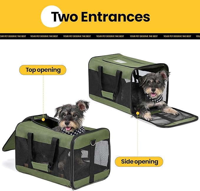 Conlun Dog Carrier Soft Sided, Large Cat Carrier with Inner Safety Leash, Pet Transport Carrier for Large Cats and Medium Dogs up to 20 Lbs, Collapsible Travel Puppy Carrier Bag -Green L