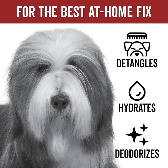 Pride and Groom DogDays Detangling Coat Spray for All Dogs | Conditioner & Detangler Spray for Shiny, Tangle-Free Fur | Hydrating & Repairing Formula with Fresh Scent | Made in USA – 16 fl oz