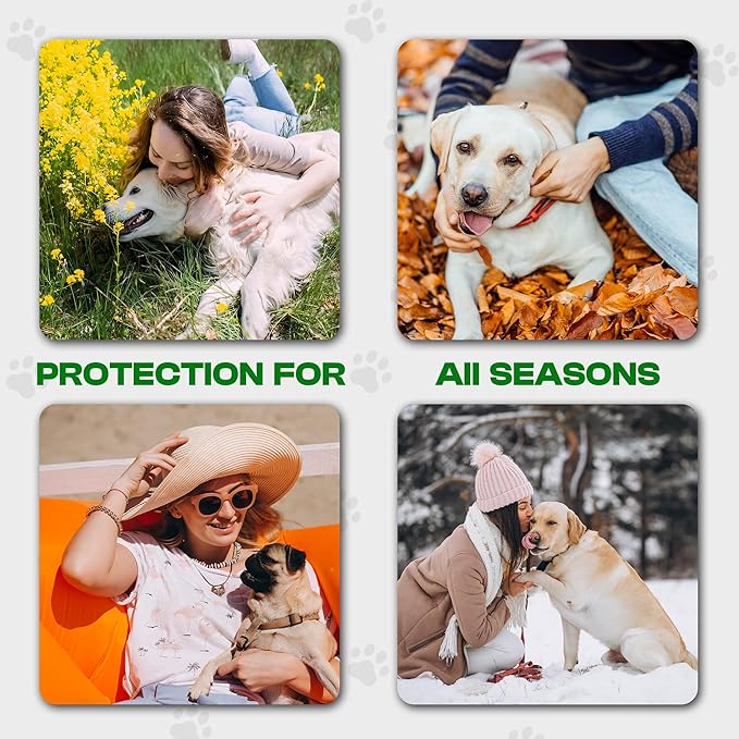 Dog Paw Balm - All Weather Paw Balm Dogs Lick Safe - Natural Argan Grape Seed Olive Oil - Protects Moisturizes Heals Dry Cracked Paws Nose Elbow - 1.69 oz