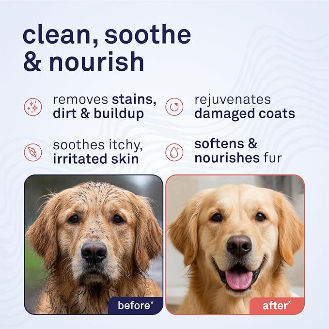 Petpost | Oatmeal & Chamomile Dog Shampoo. Soothes Dry, Sensitive Skin, Moisturizes & Softens Coat with Aloe & Yucca. 8 oz