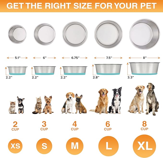 Neater Pet Brands Stainless Steel Dog Bowls with Non-Slip Rubber Bottom – 2 Cup (16 oz), Teal - Set of 2 Heavy Duty Metal Dog Bowls, Dishwasher Safe, Food or Water Bowl, Ideal for Small Dogs & Cats