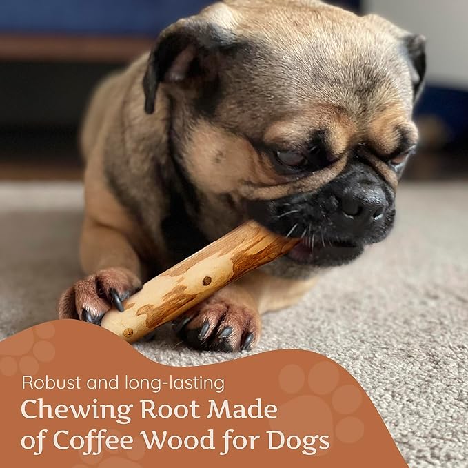 Wildfang® Coffee Wood Dog Chew, XS - Tough Chew Toys for Aggressive Chewers, Dog Teething Toys for Puppies, Training for Chewing Muscles, Coffee Tree Sticks for X-Small Dogs (Under 22 lbs), Pack of 3
