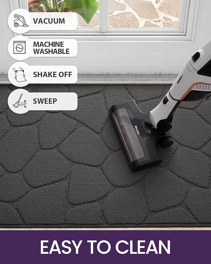 DEXI Front Door Entryway Mat Non Slip, 2x3 ft Washable Inside Entrance for House Floor Low Profile, Thin Entry Doormat Absorbent Dirt Trapper, Pebble Grey