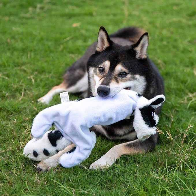 Best Pet Supplies Squeaky Dog Toys with Soft Durable Fabric for Small, Medium and Large Pets Interactive Toy for Indoor Play, Supports Active Biting and Play - Cow, Large