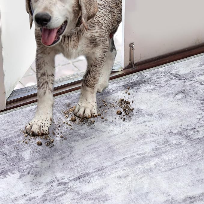 COMSLE Door Mat, Front Door Mat Indoor for Entrance Faux Wool Absorbent Non Slip Modern Throw Rug for Entryway Hallway Muddy Paws - Pet Friendly, 32x48 Inches,Modern Gray Machine Washable