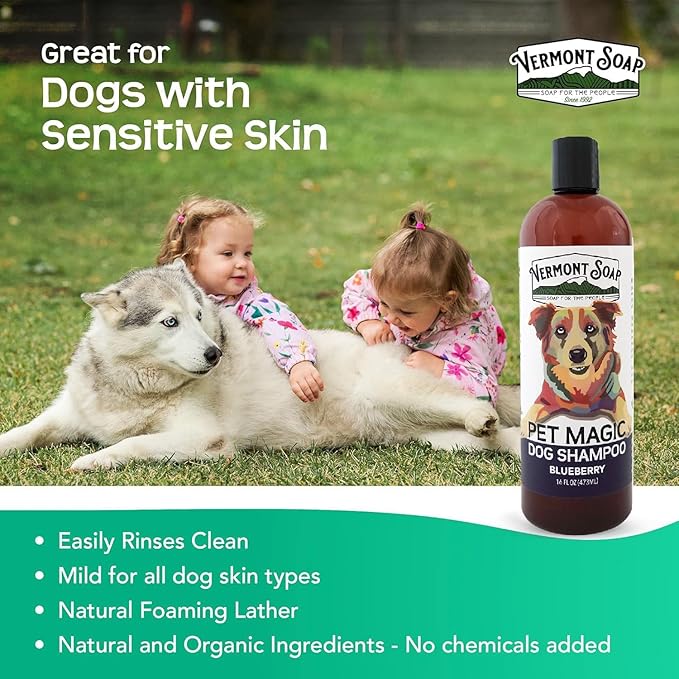 VERMONT SOAP Organics Pet Shampoo - Infused with Organic & Natural Olive Oil, Coconut & Aloe Vera Dog Shampoo for Sensitive Skin - USDA Certified Grooming Pet Shampoo - Blueberry (16oz)