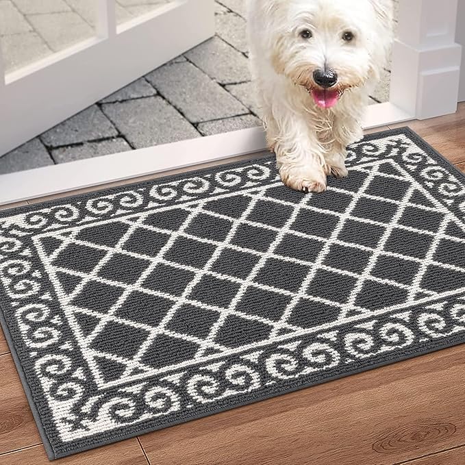HEBE Indoor Door Mat 24''x36'' Non Slip Front Door Welcome Mats Washable Shoe Mats Dirt Trapper for Entryway Low Profile Kitchen Carpet for Entrance Hallways Entrance Mat for Dogs