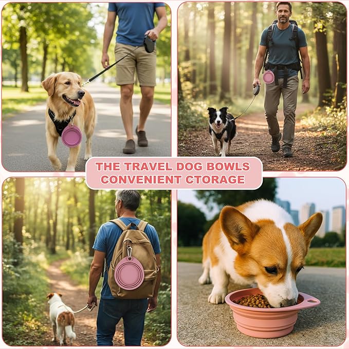 2-Pack Silicone Collapsible Dog Bowls with 4 Carabiners, Food-Grade Portable Pet Travel Bowls for Dogs & Cats, Foldable Water Feeder for Outdoor, Hiking, Camping (Pink)