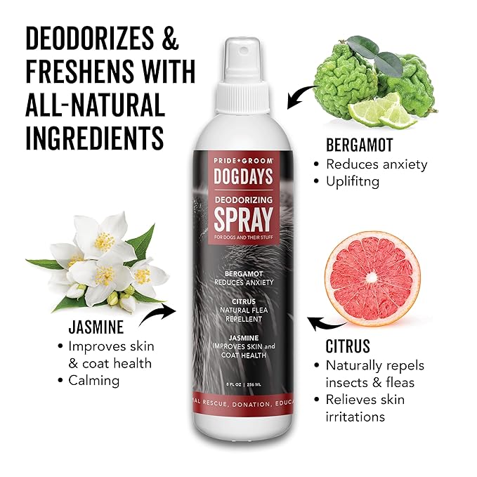 PRIDE AND GROOM DogDays Deodorizing Dog Spray | Long-Lasting Pet Odor Eliminator with Fresh & Clean Scent | Hydrating Dog Cologne & Coat Refresher – 8 fl oz
