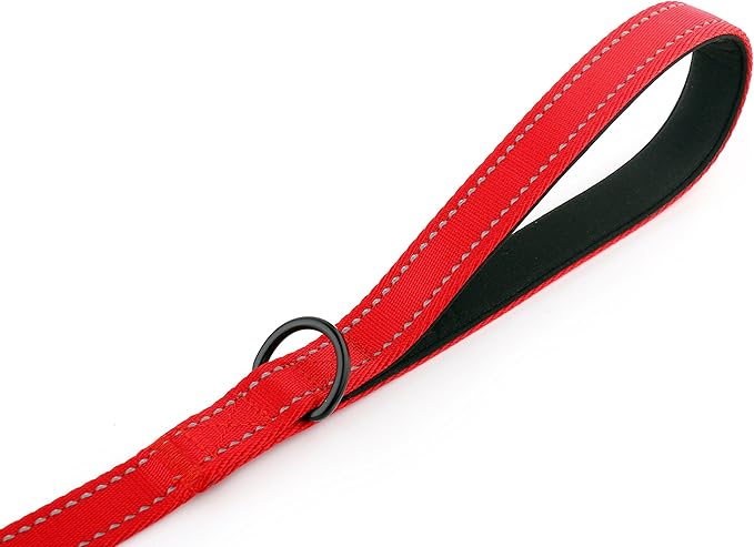 Primal Pet Gear Dog Leash 6ft Long,Traffic Padded Two Handle,Heavy Duty,Reflective Double Handles Lead for Control Safety Training,Leashes for Large Dogs or Medium Dogs,Dual Handles Leads(Red)